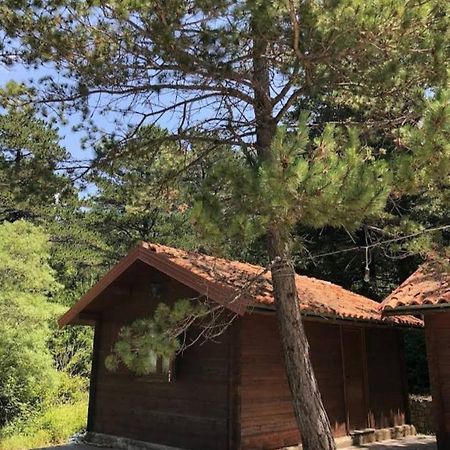 The Old Man'S Chalet Villa Dukat Exteriör bild
