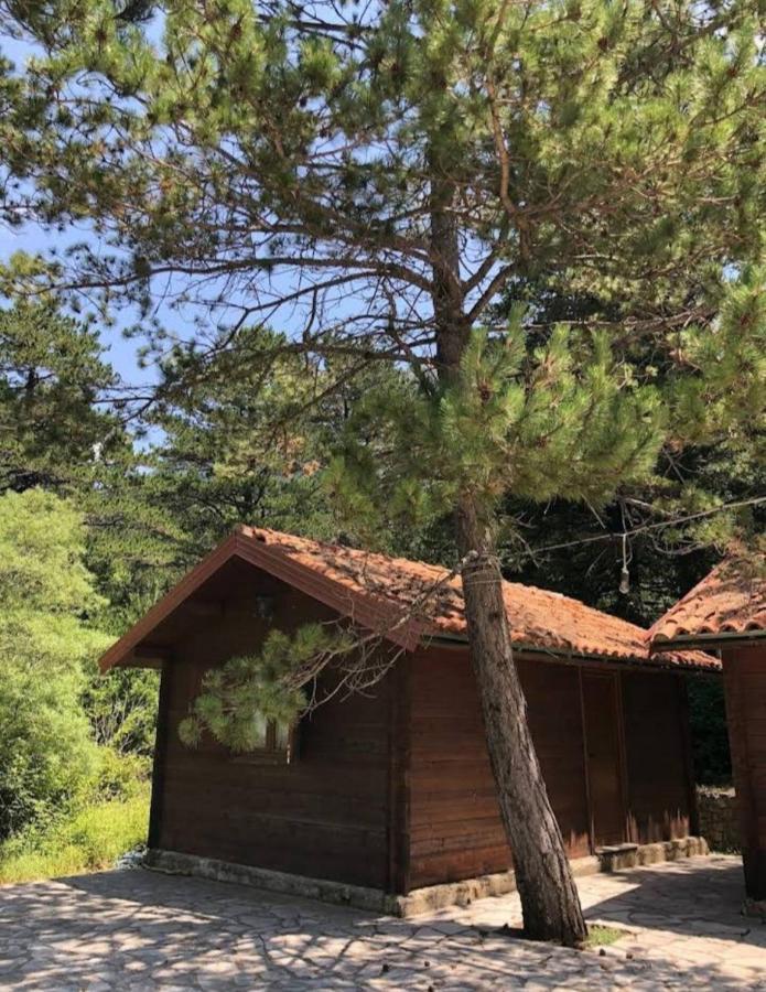 The Old Man'S Chalet Villa Dukat Exteriör bild